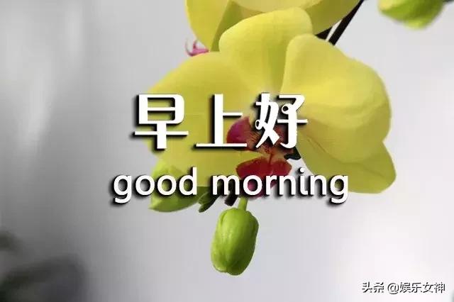 周三问候语简单幽默,早上短信问候语温馨正能量