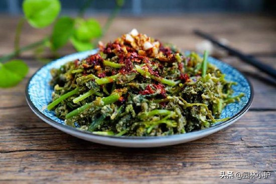 《二月兰》,二月兰中国北京