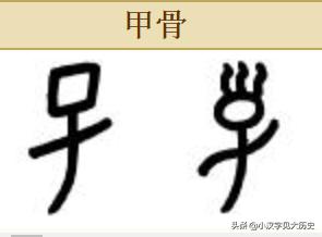 甲骨文会意字大全对照表,甲骨文部首讲解