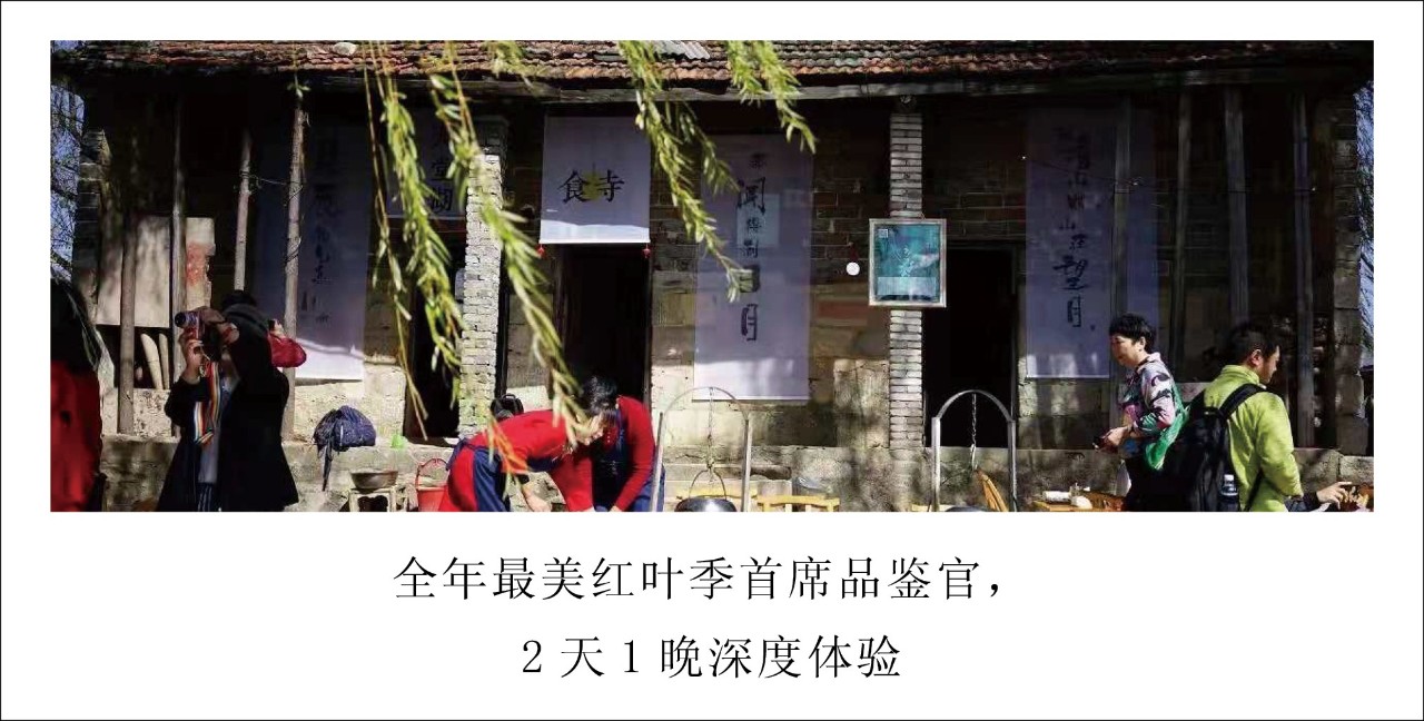 ​我是怎么用一个菠萝度过一天的？