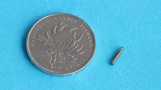 爱宠走失寻回,寻回丢失宠物的高效方法和技巧