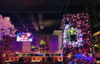 石家庄深夜食堂美食攻略,凌晨好吃的深夜食堂石家庄