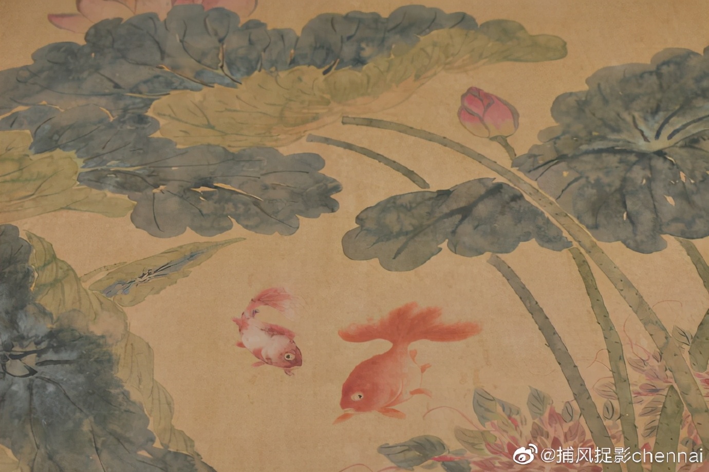 金鱼展和金鱼题材*物文**展