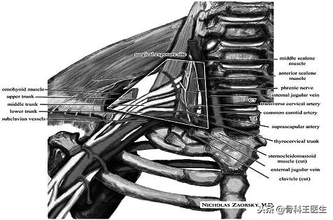 绂忓皵鑼ㄨ兏寤撳嚭鍙ｇ患鍚堢棁,瀵屽皵鑼ㄥ緱浜嗕粈涔堢梾