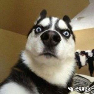 给宝宝起个好听的外国名字,100个好听宝宝英文名