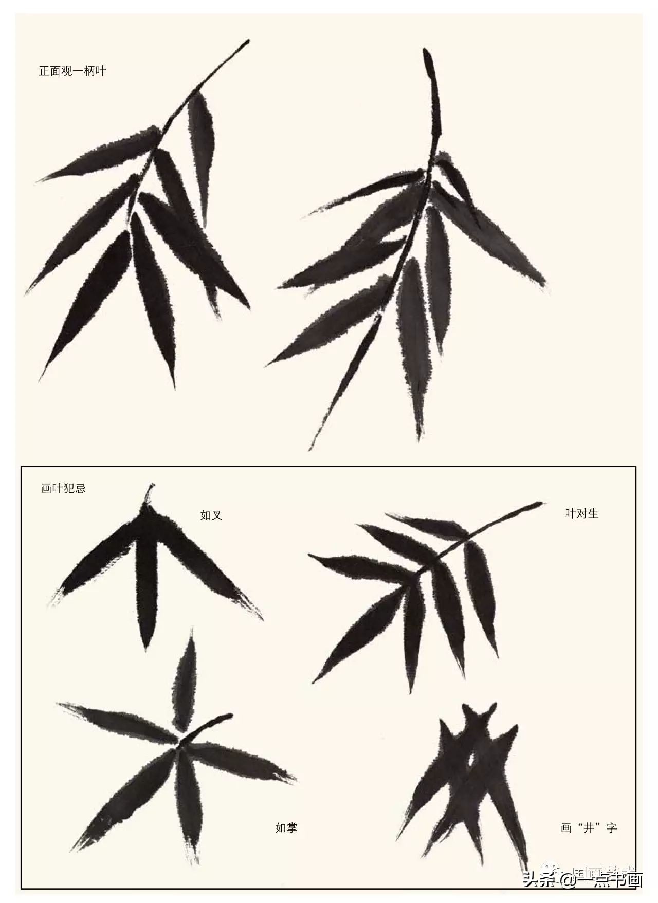 梅花画法教程,竹子画法教程