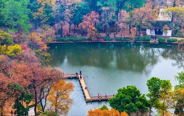 广州治愈心情的地方,可以治愈心情的城市