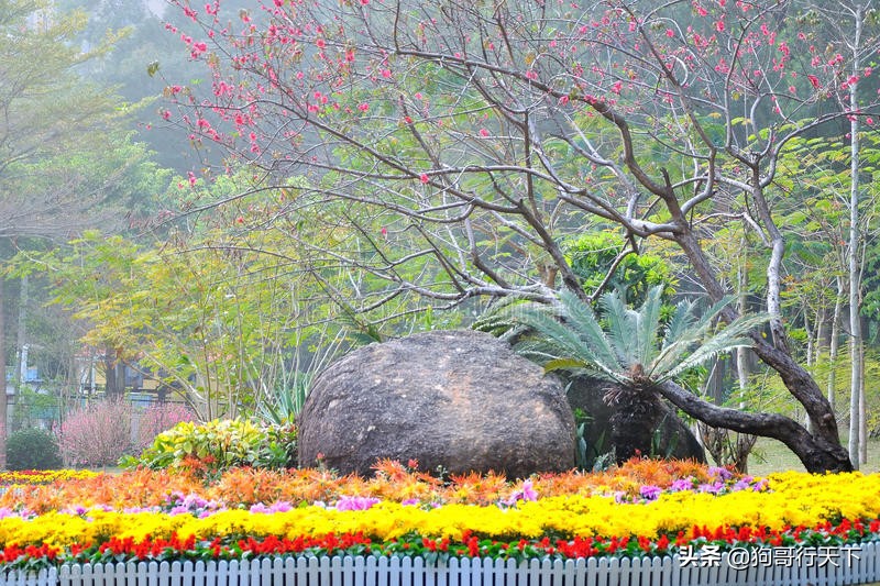 珠海免费旅游景点大全,珠海十大网红景点推荐