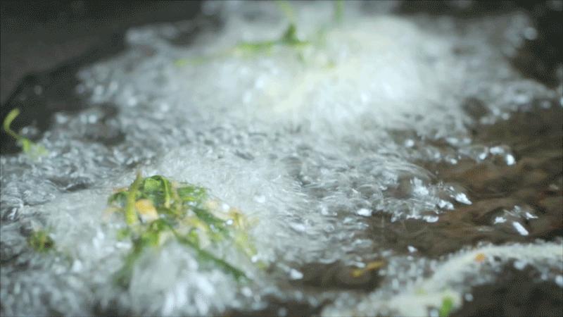 夏季苦夏如何调理,夏季吃5种苦味食物胜过进补