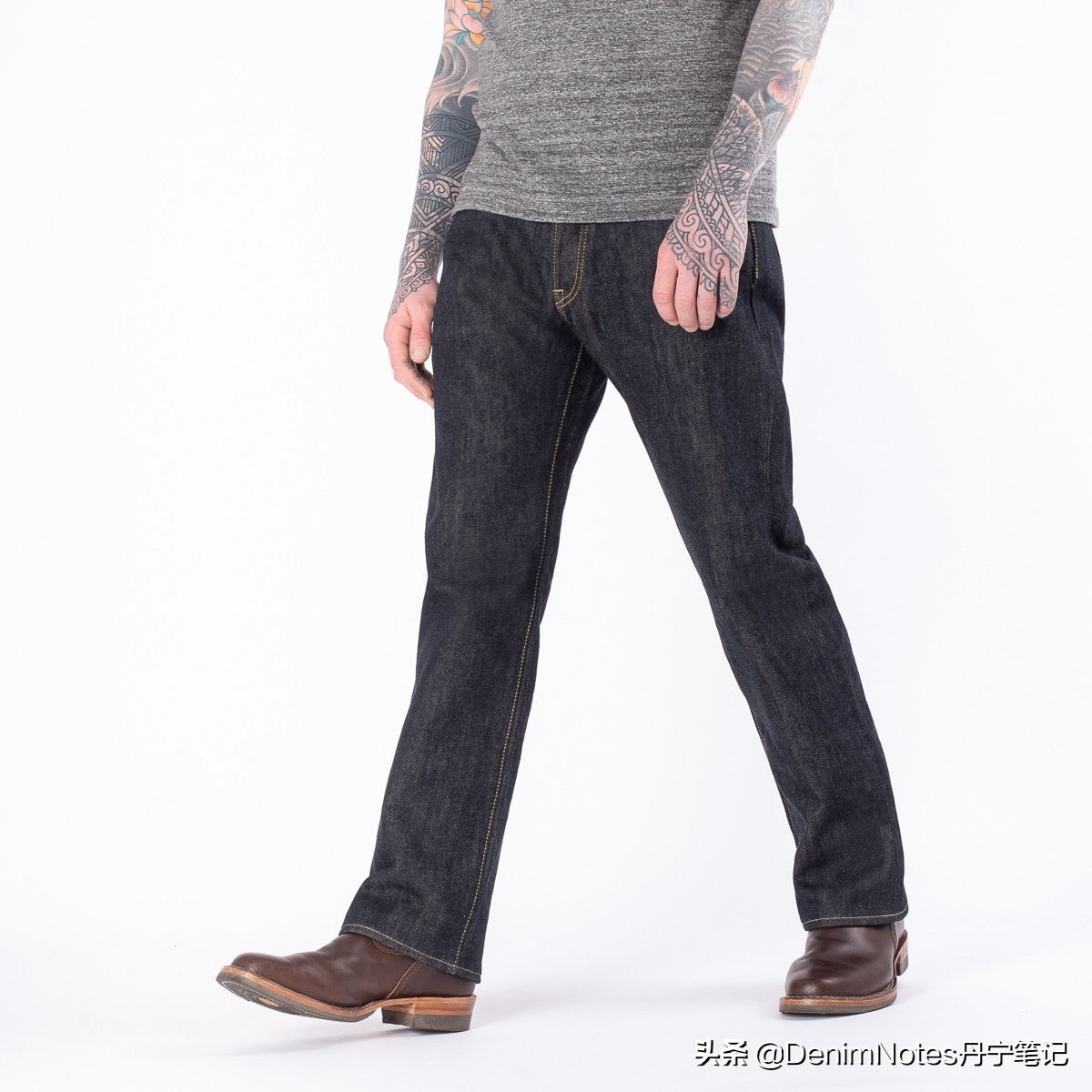 原牛入门推荐,精选原牛