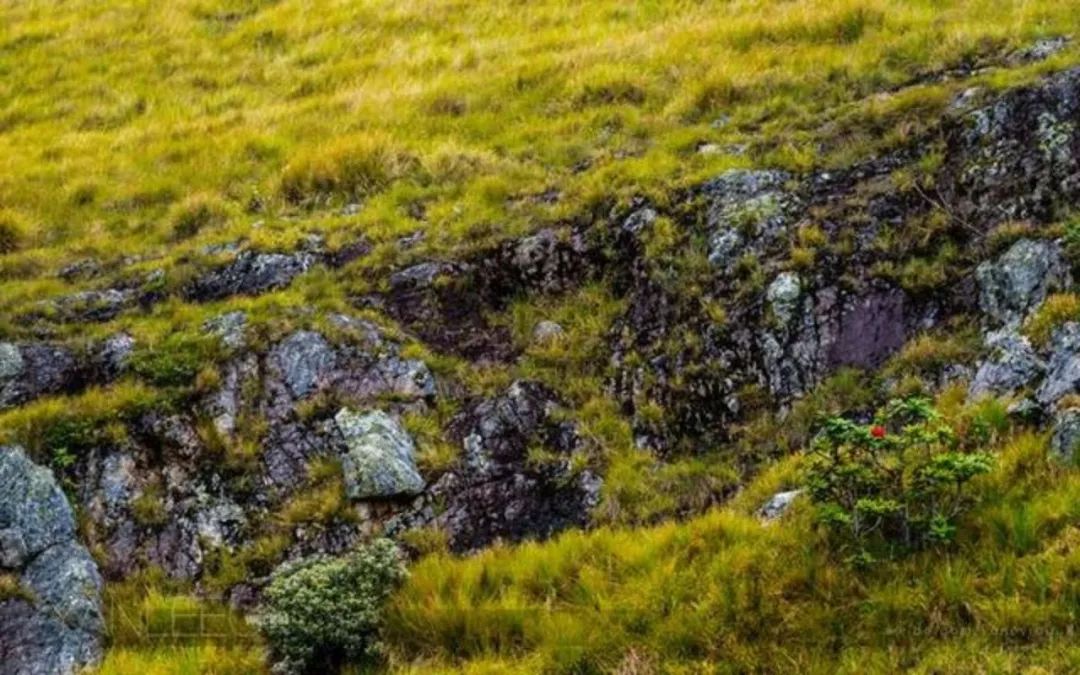 斯里兰卡攻略及费用,斯里兰卡旅游攻略大全