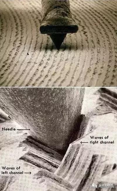 专业知识免费听,黑胶正确入门方法