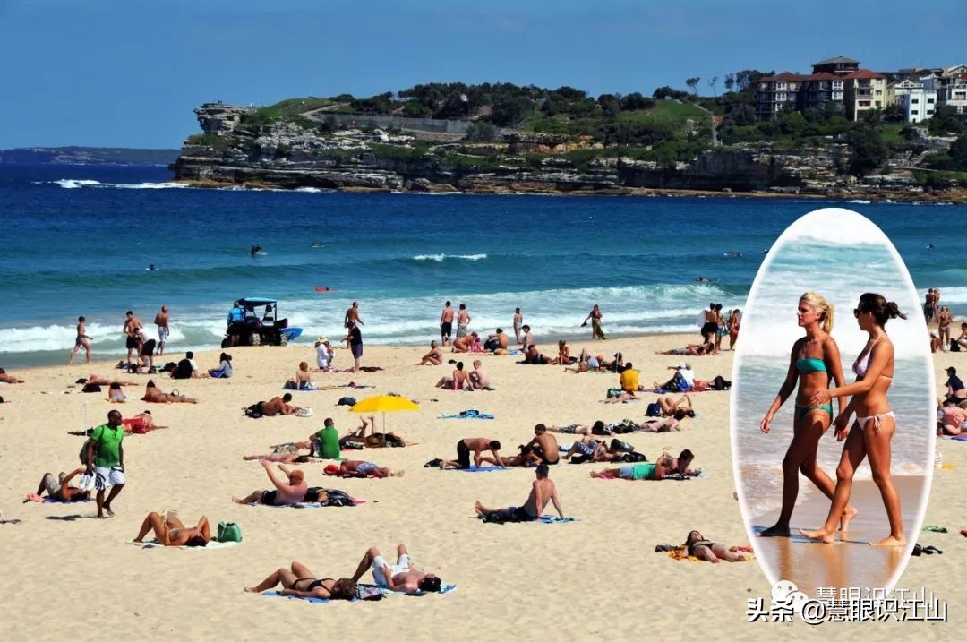 悉尼邦迪海滩,悉尼邦迪海滩新闻