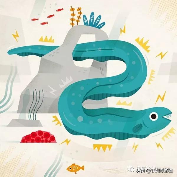 世界的全部动物,全世界的动物都有什么共同点