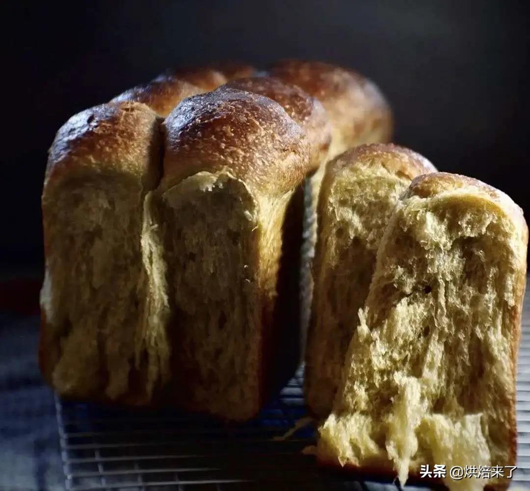 防止面包发霉的方法有哪一些呢,面包发霉最快的办法