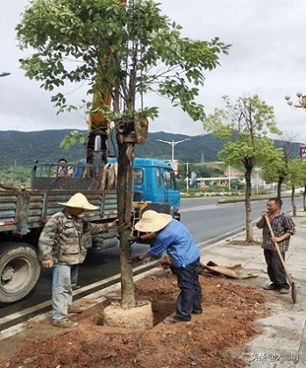 三明城市双修总体规划,三明市2020年重点项目名单