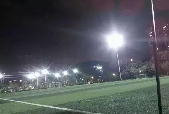 福田花卉世界最新规划,福田花卉世界新址