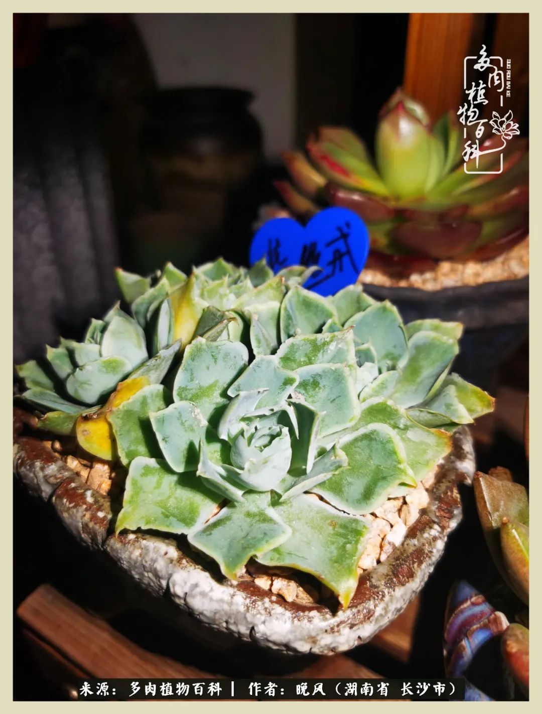 摇身一变成了奶爸,摇身一变成为打工人