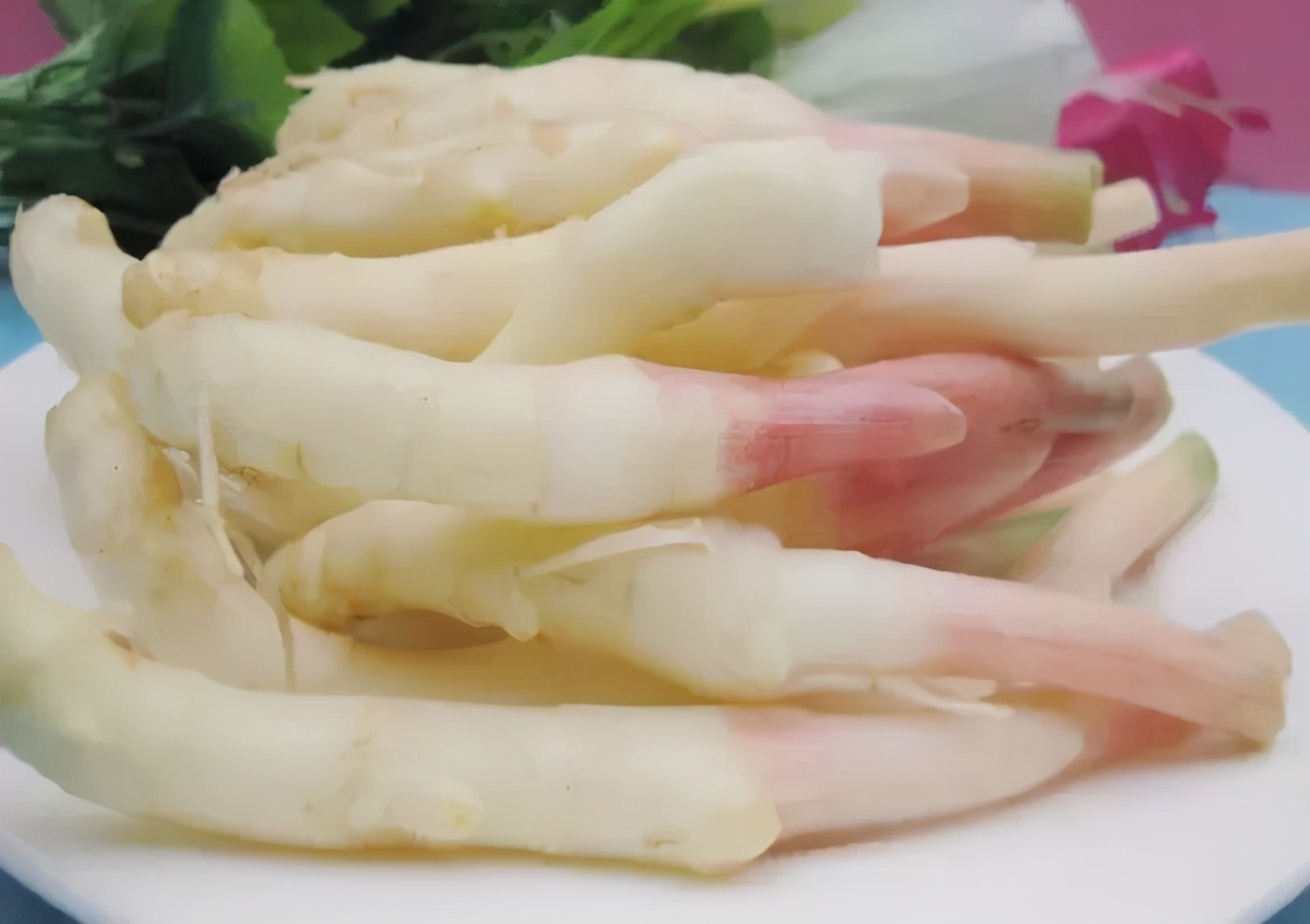 乐山古镇有哪些好吃的 (乐山攻略一日游古镇)