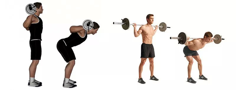 腰疼深蹲硬拉还能练什么力量,深蹲硬拉腰太弯了