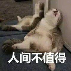 我终于戒掉了强迫症：社恐青年的日常自闭式社交