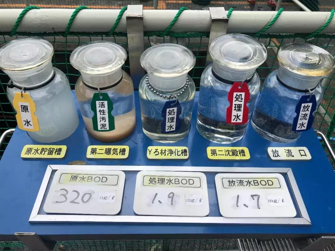 你知道养乐多为什么那么贵吗,养乐多的质感好到怀疑人生