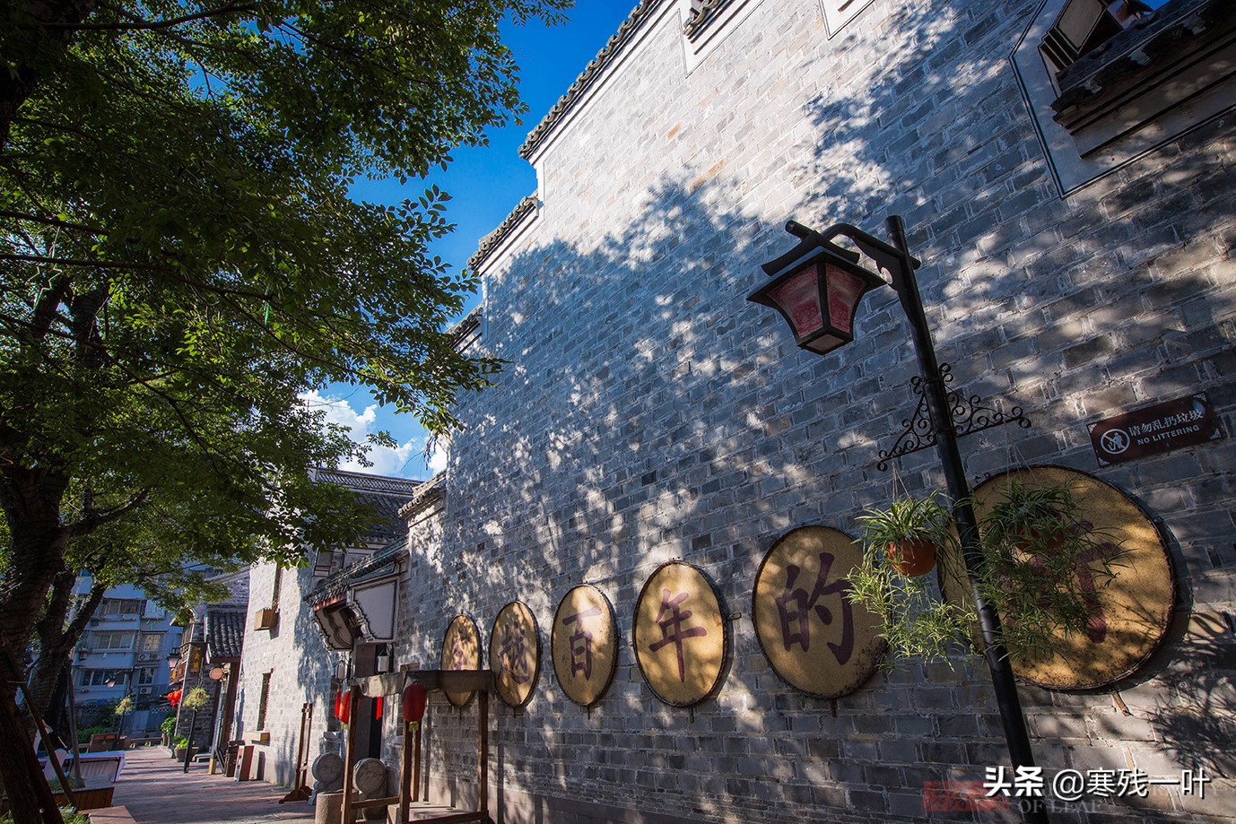 宁波不收门票的景区,宁波景区小吃街有哪些地方