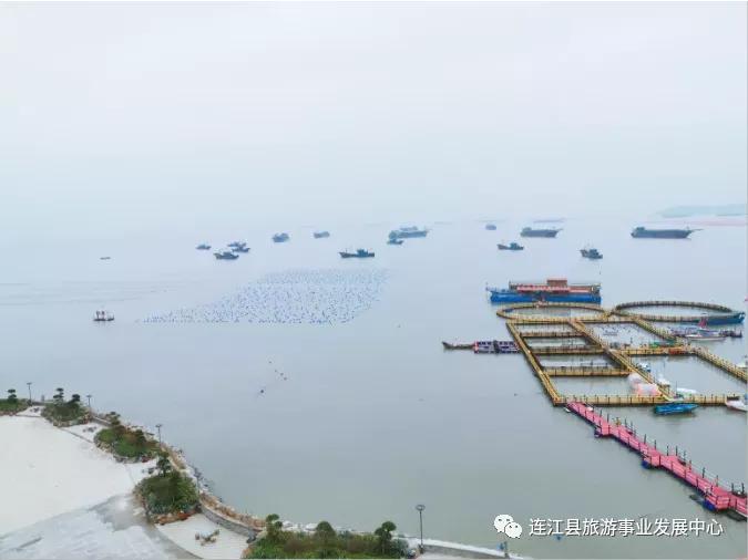 有一种美叫海边,有一种别样的美叫霞浦滩涂