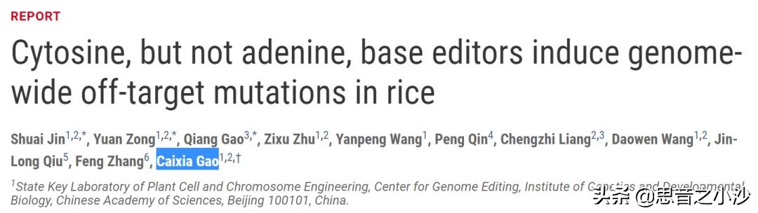 基因(DNA)编译,人类首次通过基因编辑攻克隐性遗传病