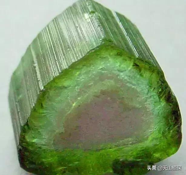 怎么捡到价值极高的石头,捡到一块石头价值千万
