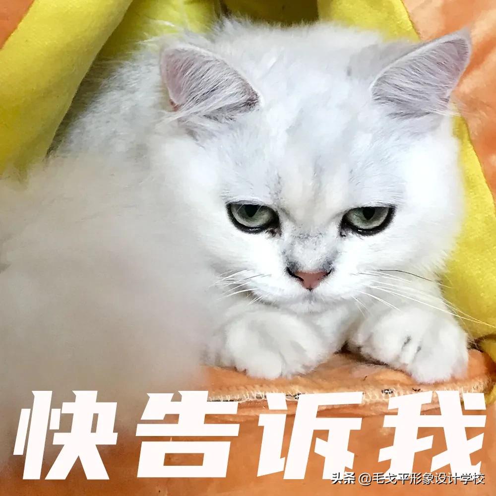 不同脸型如何化妆与服装搭配技巧,不同眼型脸型唇形的化妆要点