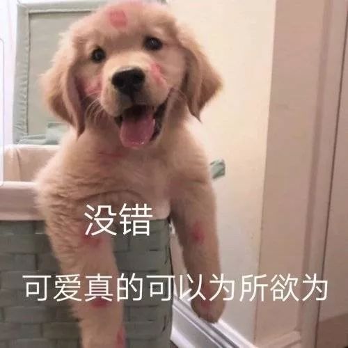 适合混合性皮肤的大牌洁面,适合干皮用的大牌洁面