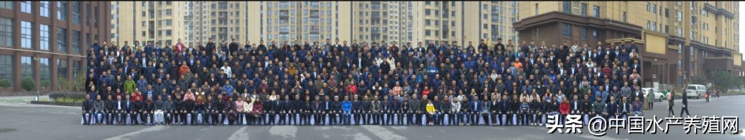大数据+整体解决方案的新时代，看水世纪如何将智慧渔业水平衡全新指导概念，推动水产养殖业实现再一次飞跃