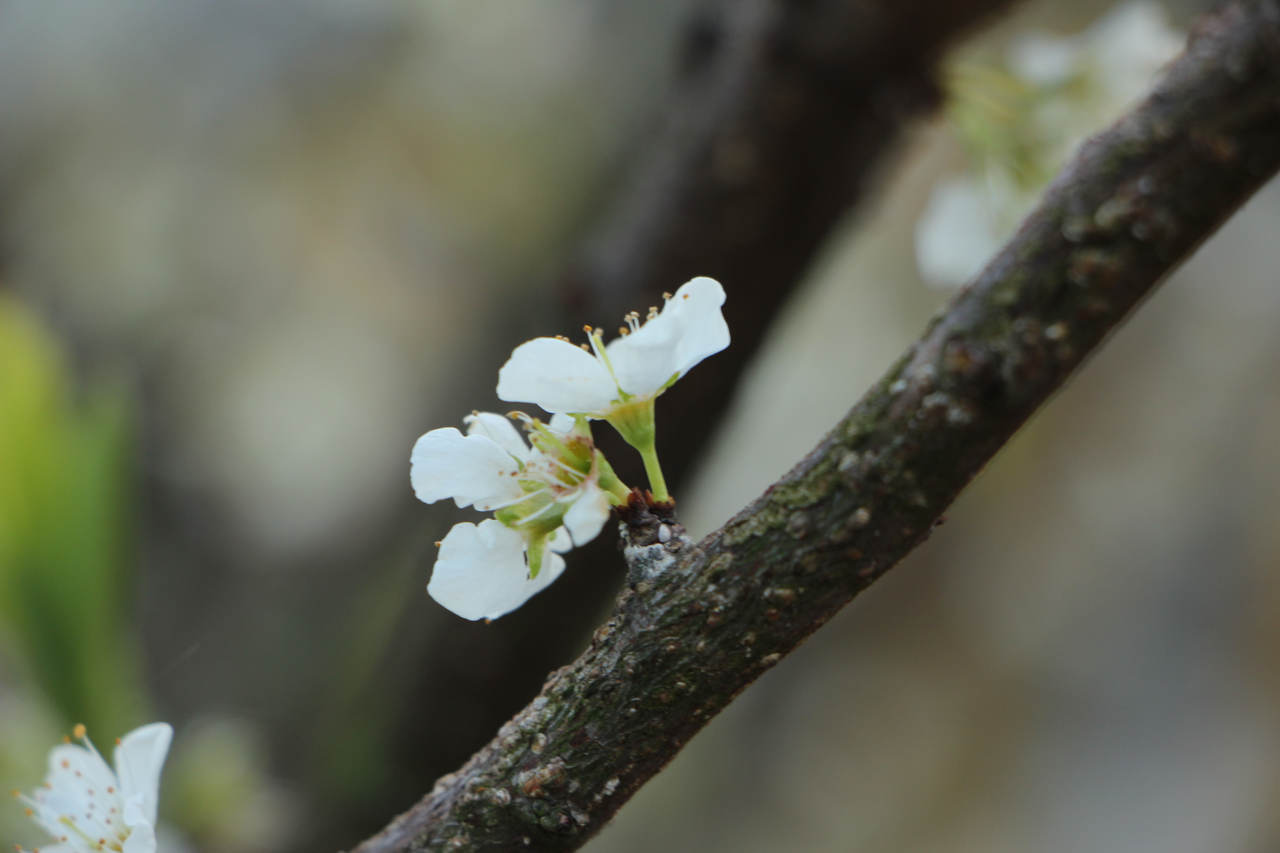 成熟人才能看懂什么,成熟的人知道自己成熟吗