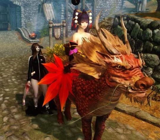 上古卷轴5五神整合,上古卷轴5各类mod讲解