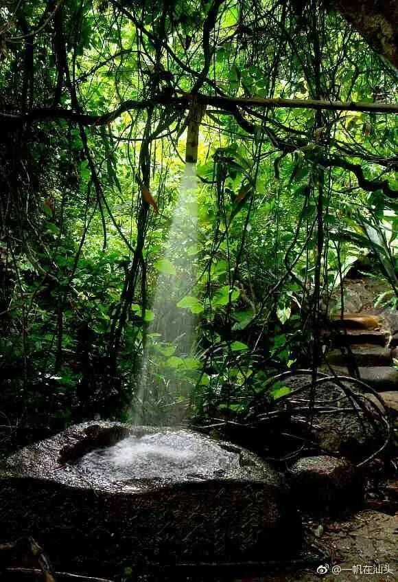 山蚂蝗为什么吸血,山蚂蟥一种吸血的动物