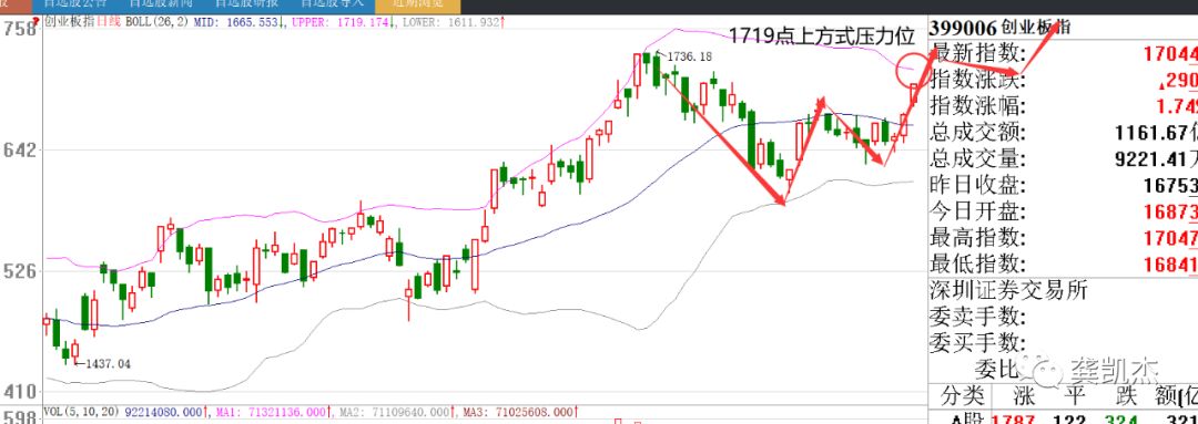 晚评：涨停狂潮，错过了就哭吧