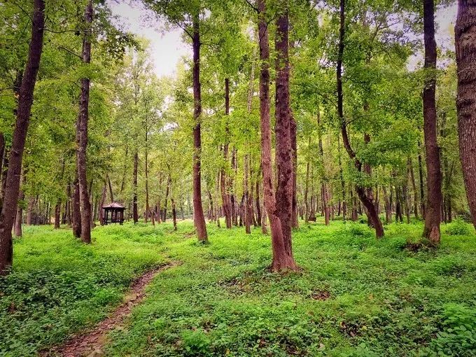 霞是光，浦是海：光与海的对话，吟唱出最美的滩涂