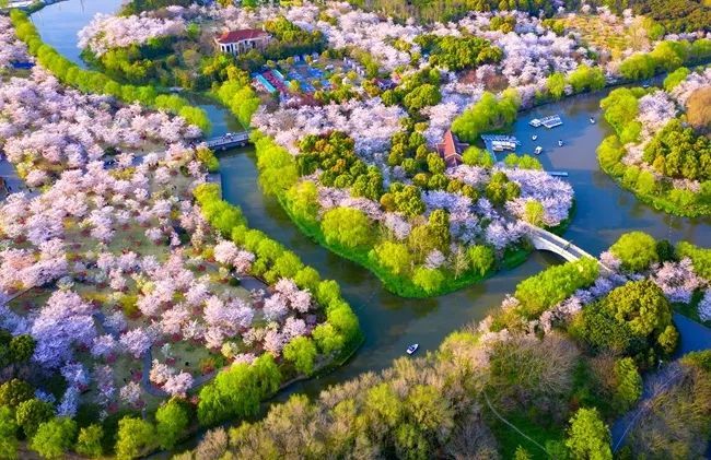 上海休闲娱乐好去处可以呆一整天,上海十大免费玩的地方