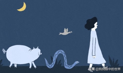 流浪狗治愈抑郁症,没想到自己竟然得了重度抑郁症