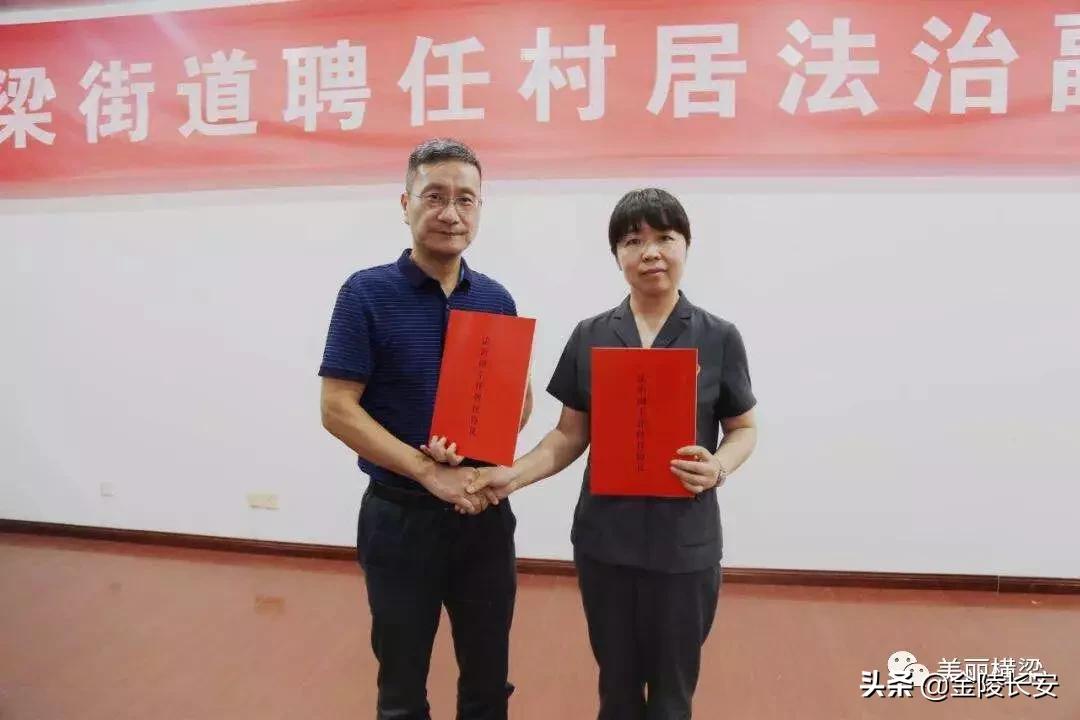 6合道哪套最强,合六一体化路线