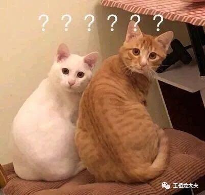 什么情况算早泄怎么治疗,出现早泄吃什么中药好