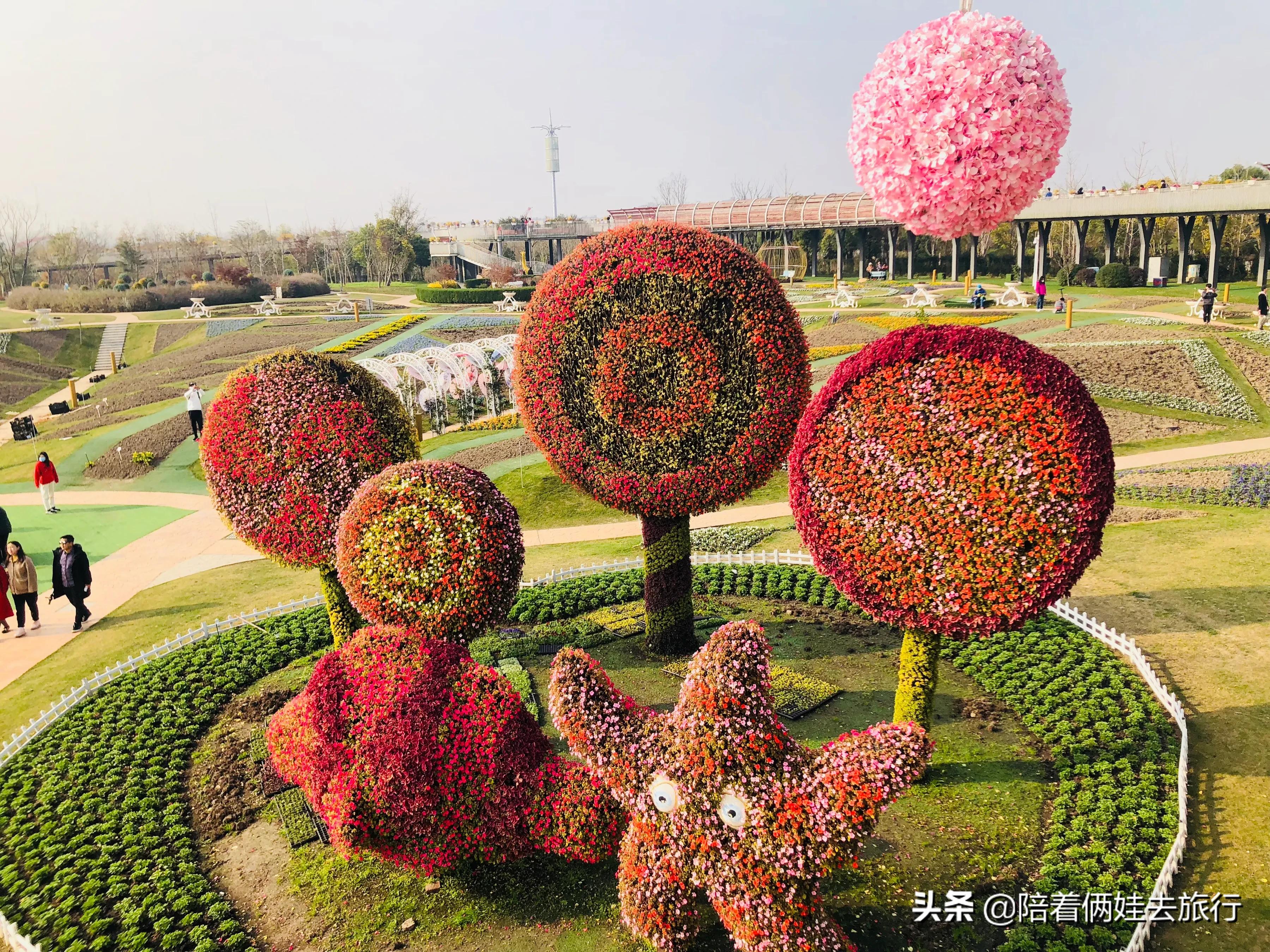 上海浦江郊野公园一日游攻略大全,上海浦江郊野公园奇迹花园地图
