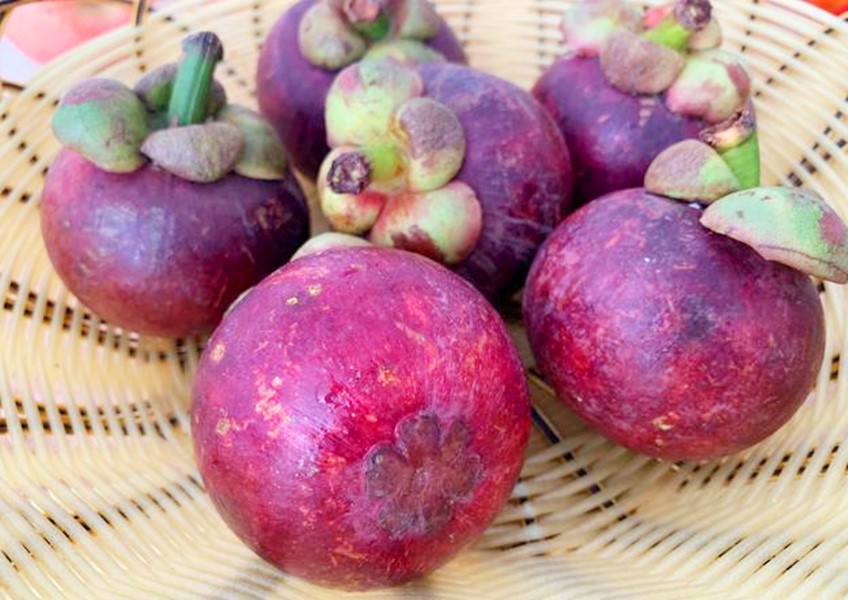 山竹里面的黄浆能吃吗,山竹果浆能吃吗