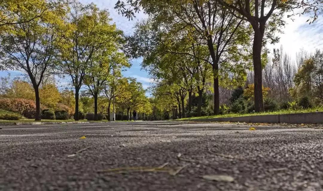 辽宁省普通高等院校,辽宁省沈阳本科大学