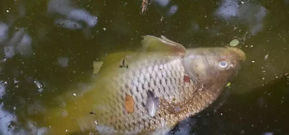 缅甸多地创下高温纪录,极端最高温度40度