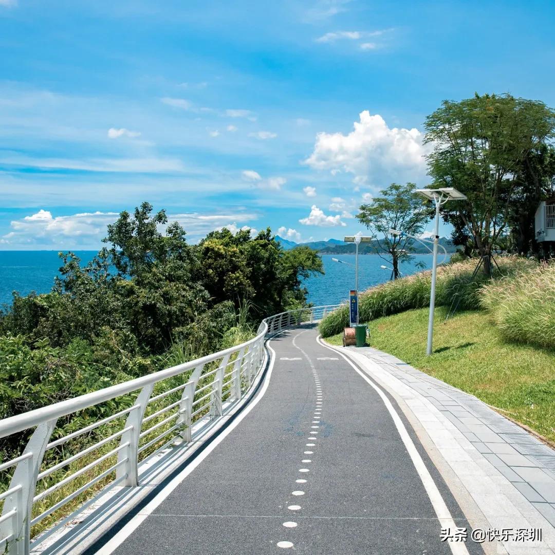 深圳新开通地铁看海,深圳新开通地铁通往海边是几号线