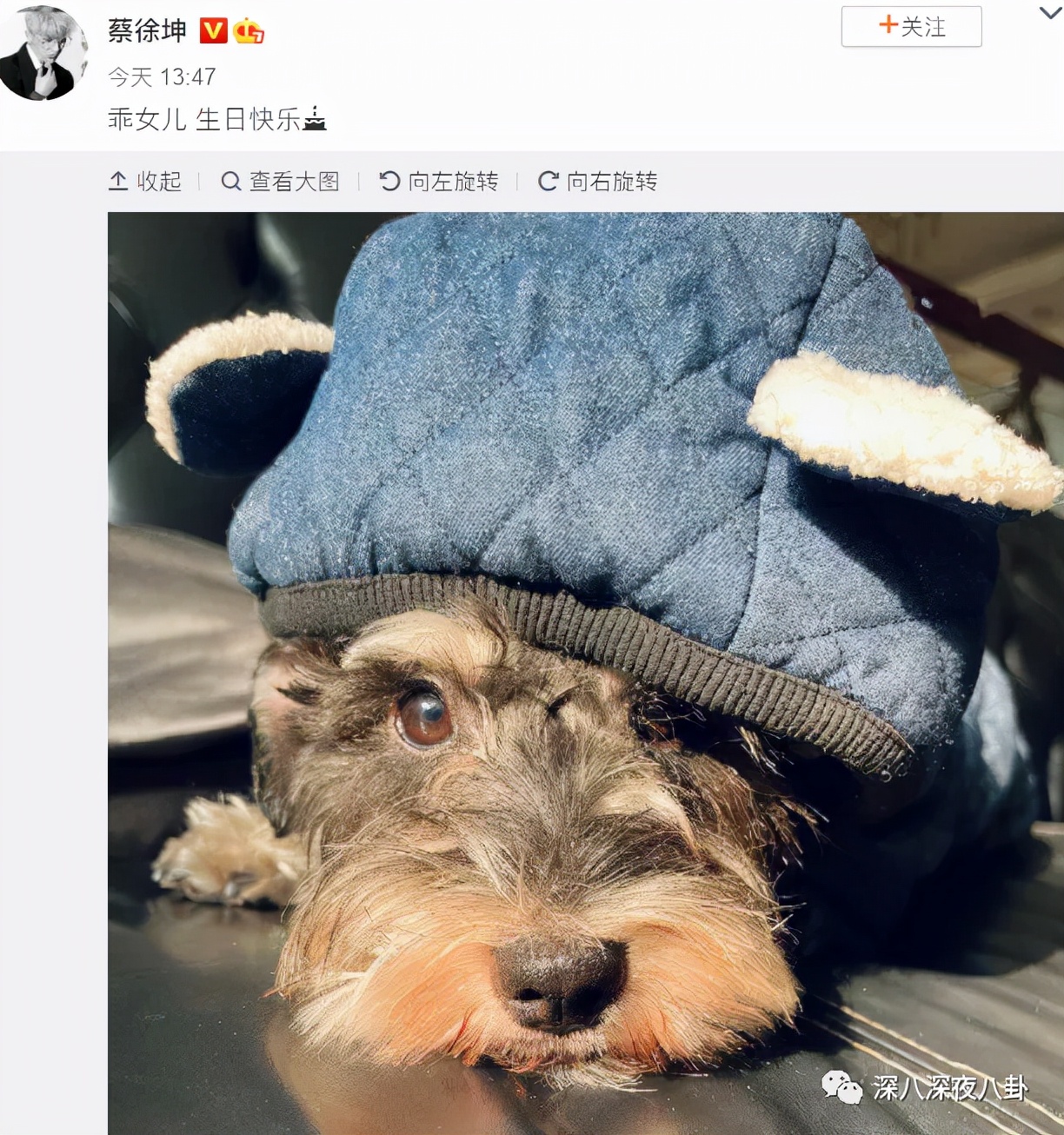 顶流生二胎,顶流官宣生子后续全文