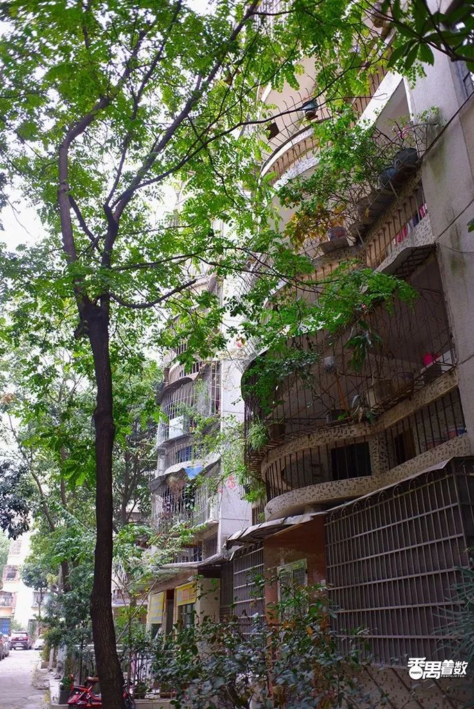 在番禺住哪里比较好,在番禺居住怎么样