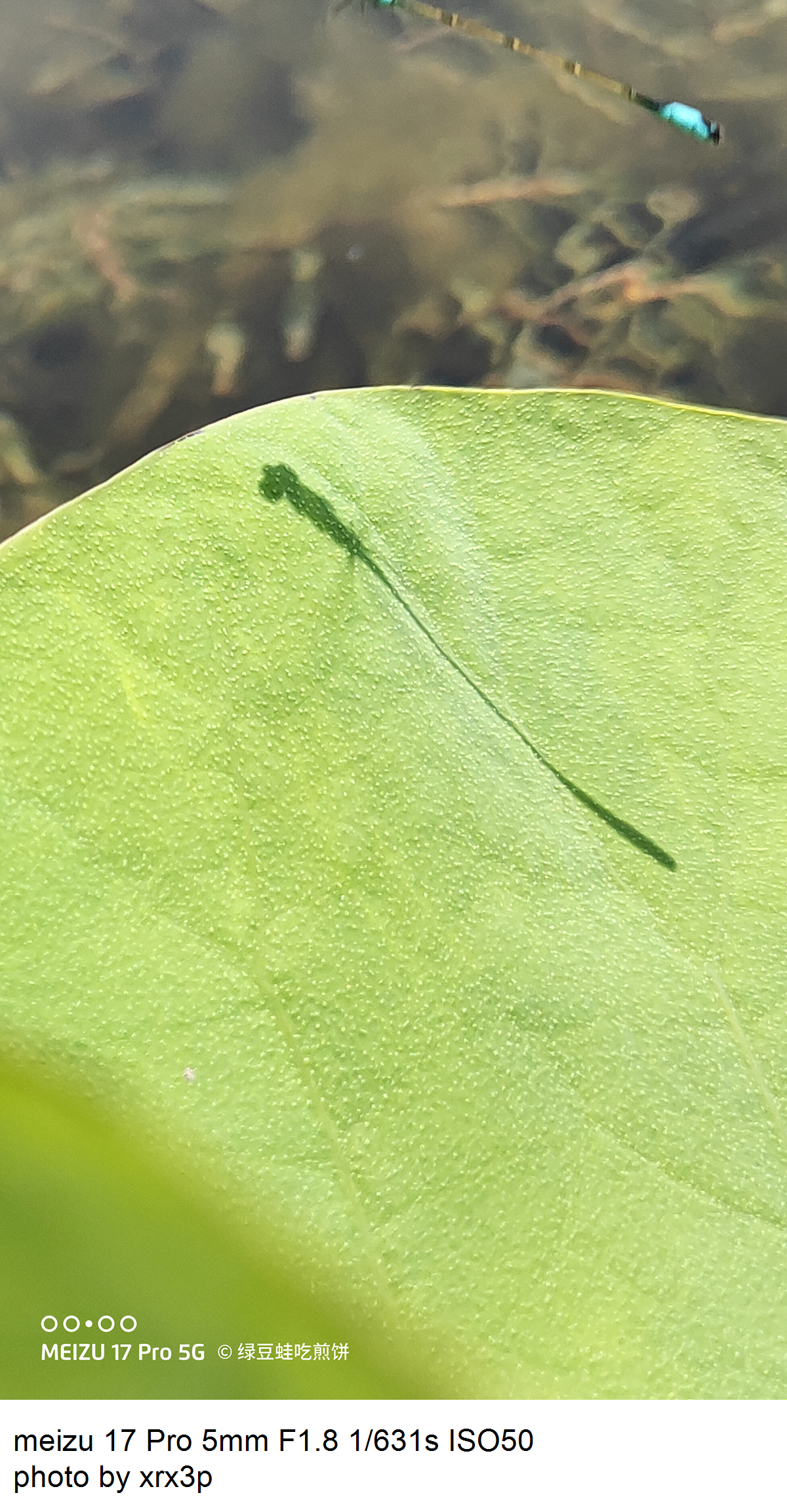 魅族17pro拍照怎么用,魅族17pro拍照体验